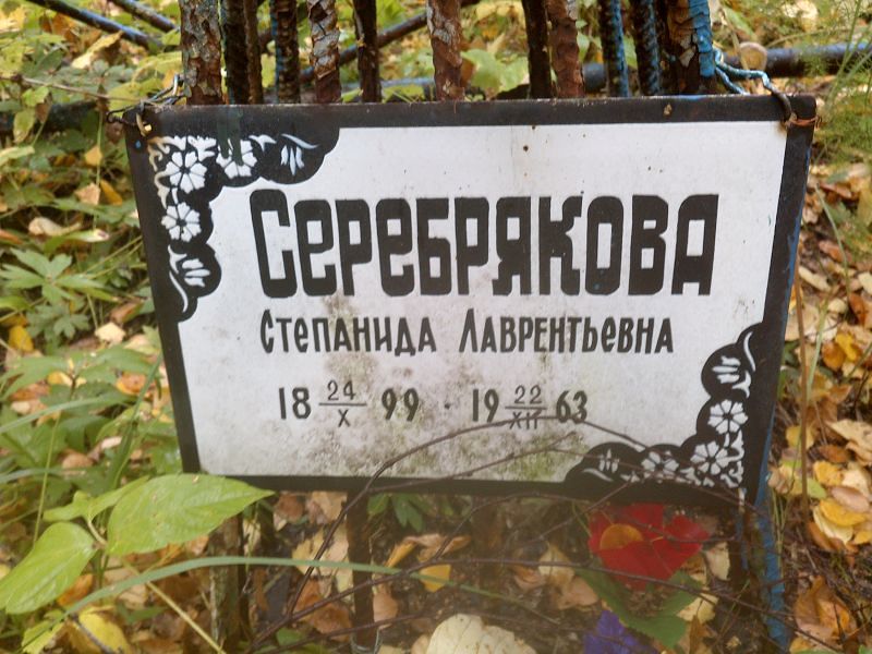 Степанида Серебрякова Лаврентьевна