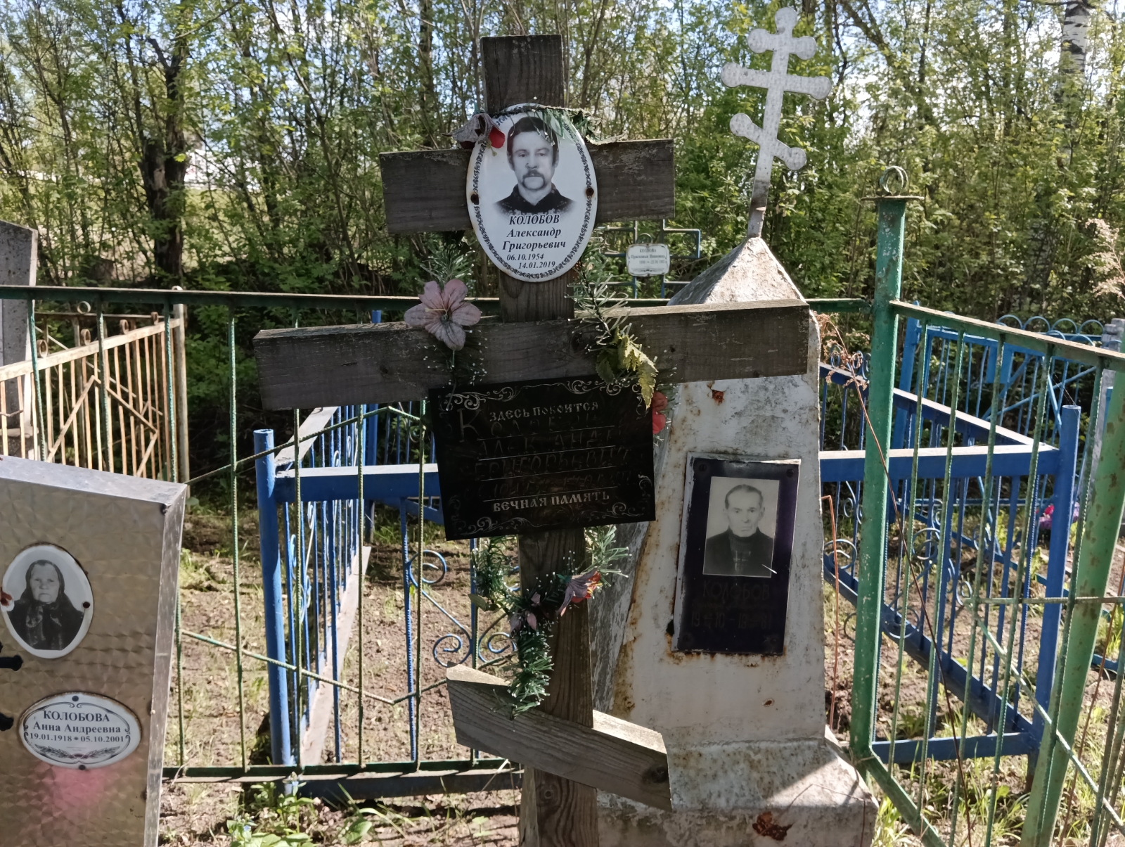 Колобова Анна Андреевна