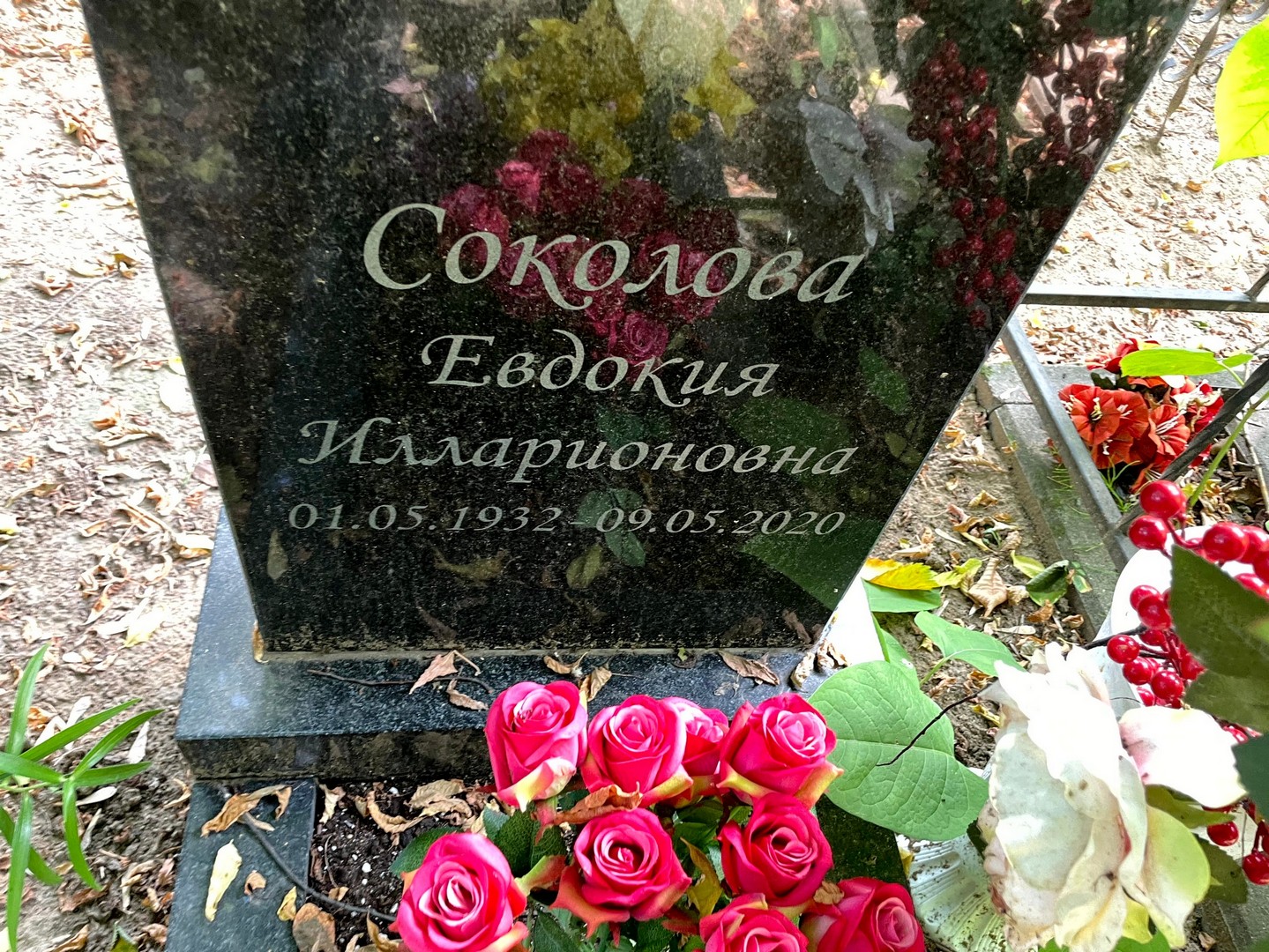 Соколова