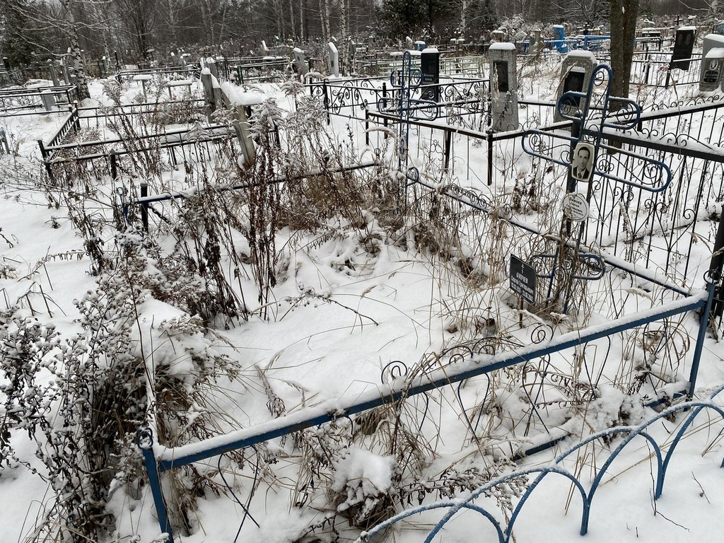 Булчев Сергей Григорьевич