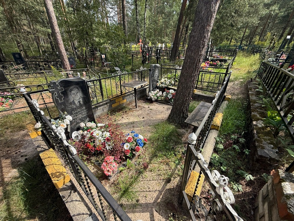Быков Владимир Иванович