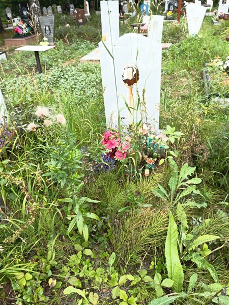Костырев Григорий Николаевич
