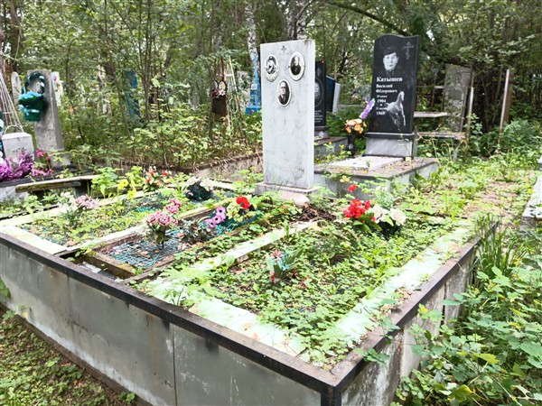 Мулин Николай Михайлович