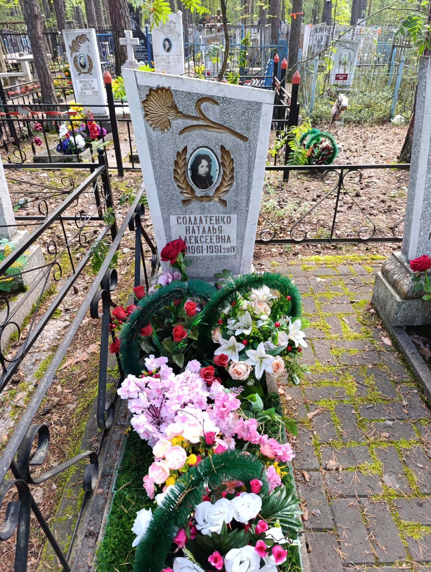 Солдатенко Наталья Алексеевна