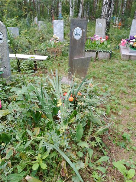 Бабинцева Вера Моисеевна