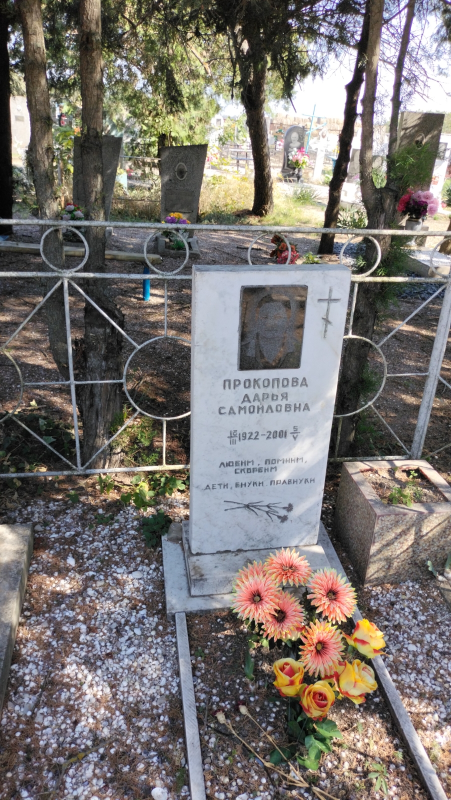 Прокопова Дарья Самойловна