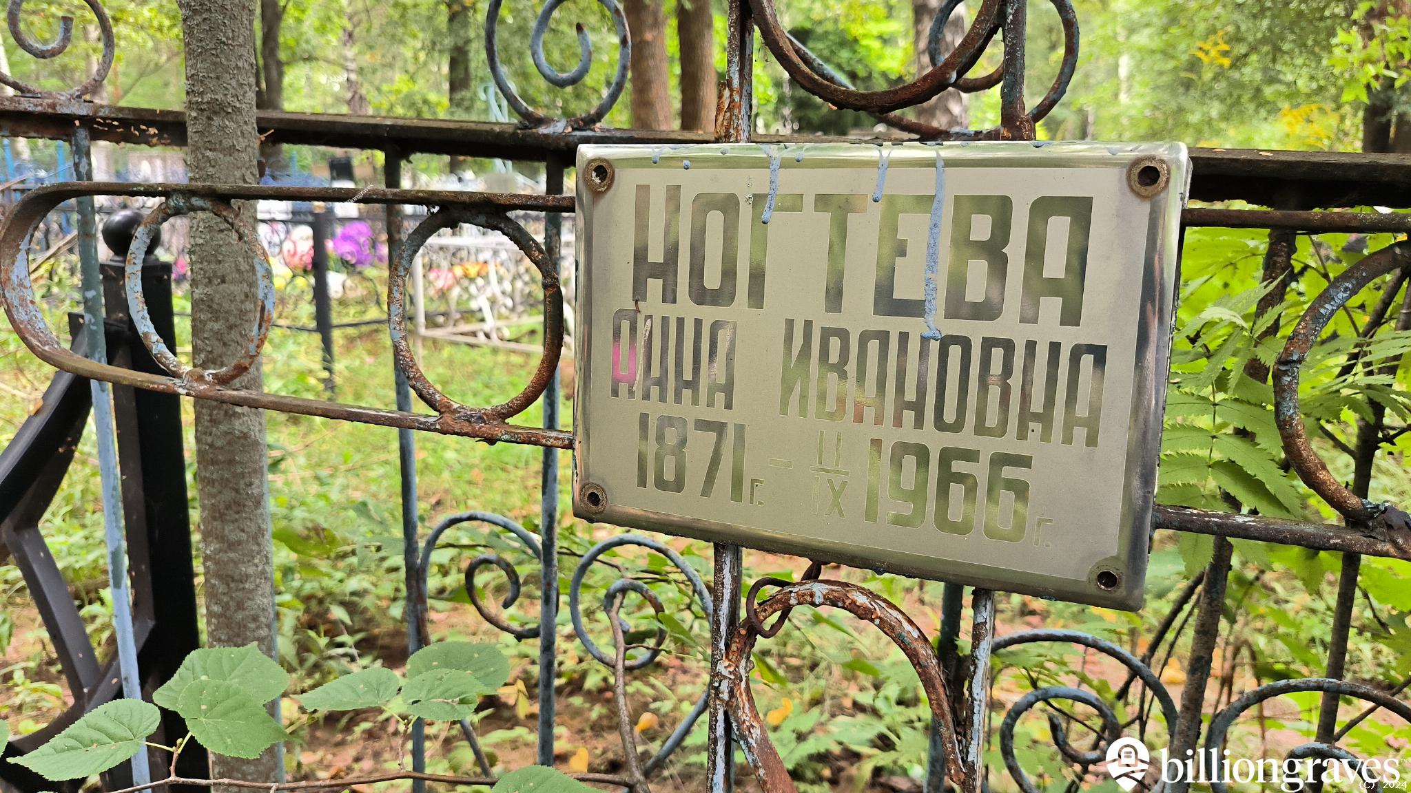 Ногтева Анна Ивановна