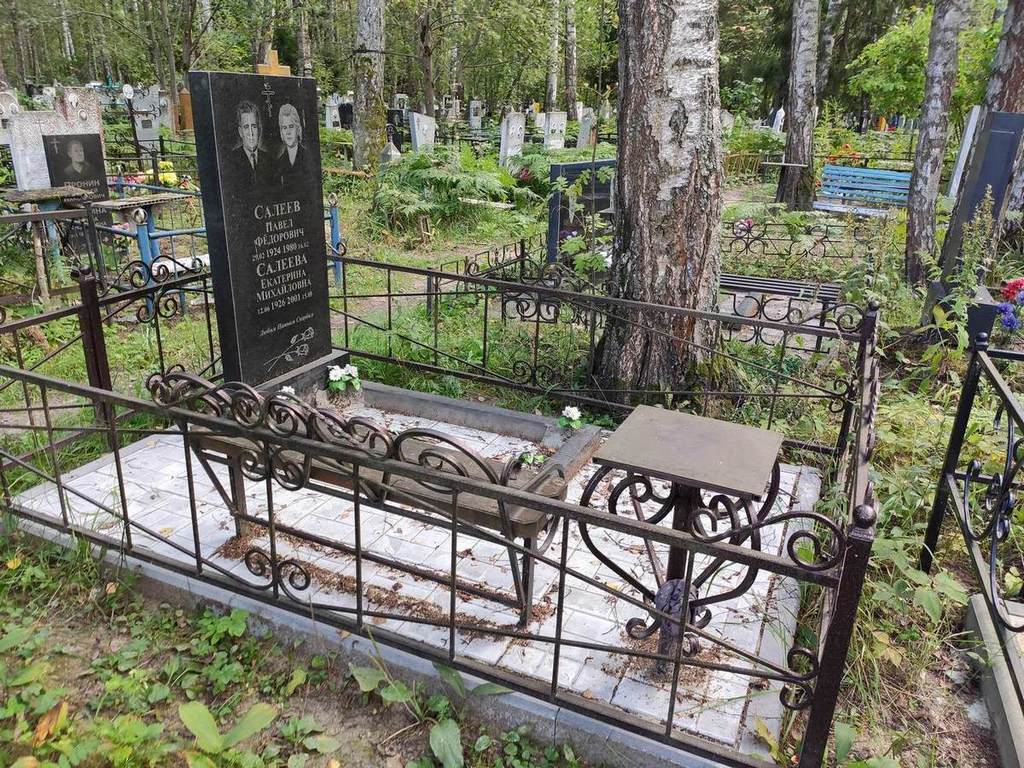 Салеев Павел Федорович