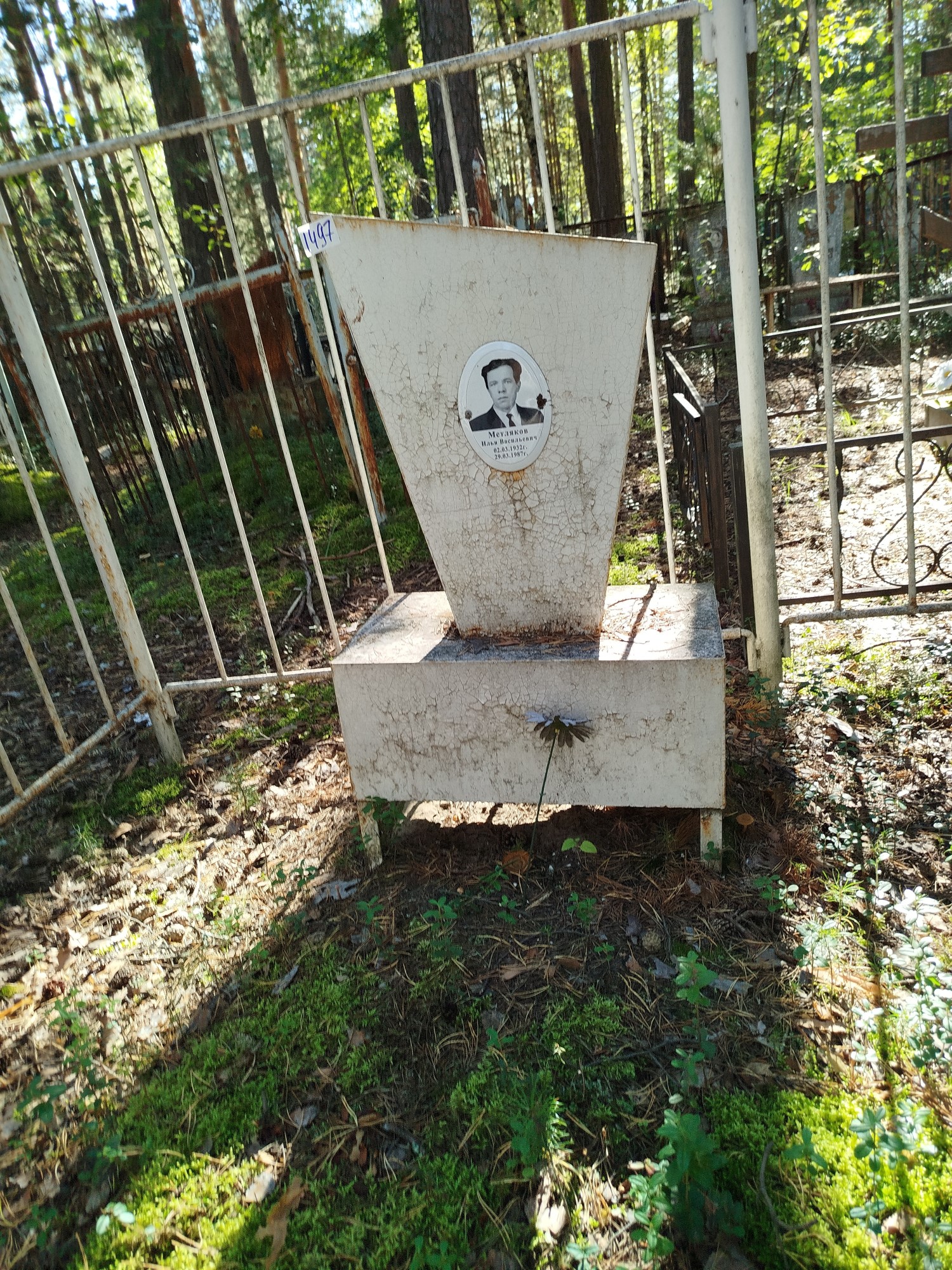 Метляков Илья Васильевич