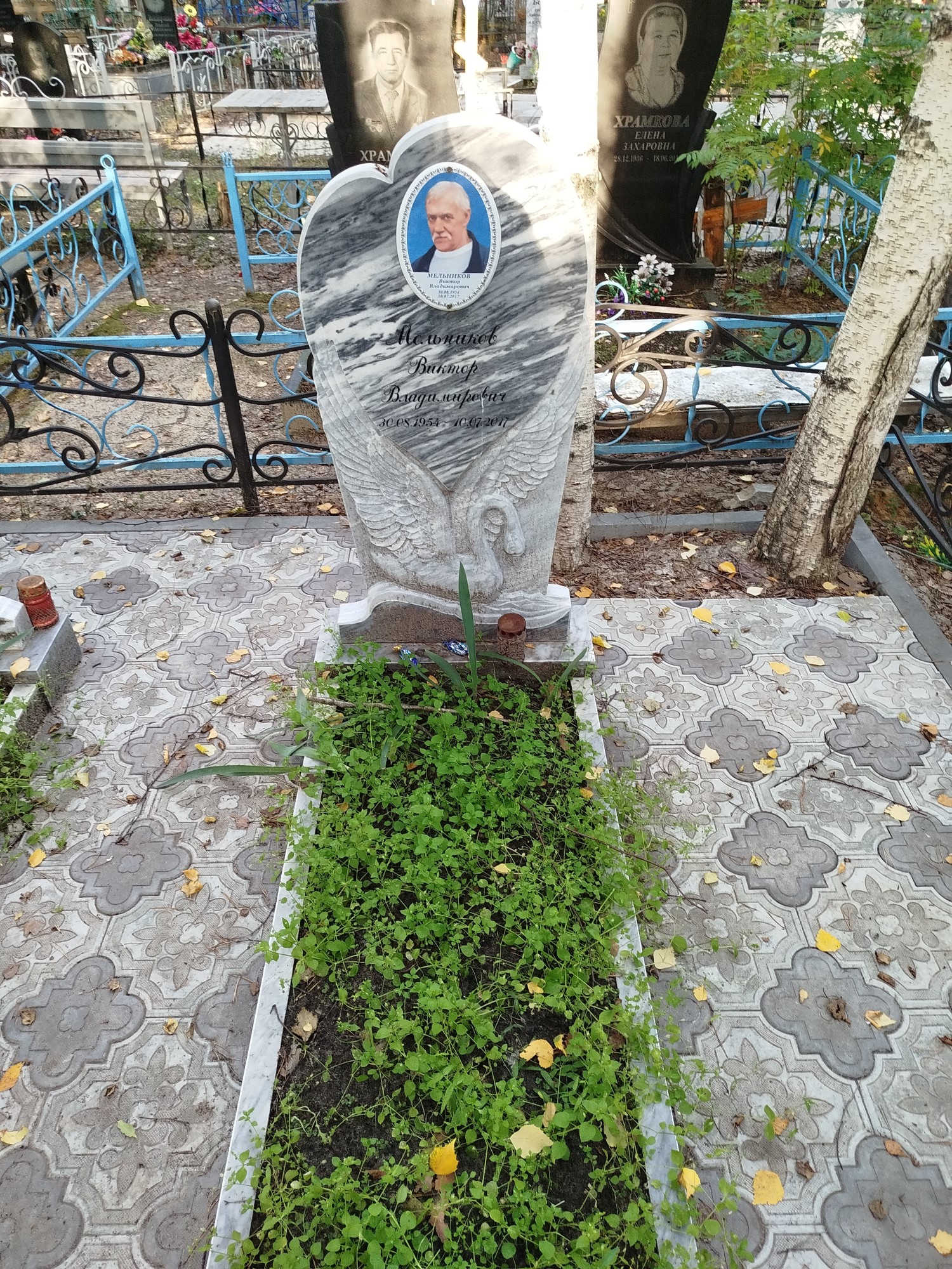 Мельников Виктор Владимирович