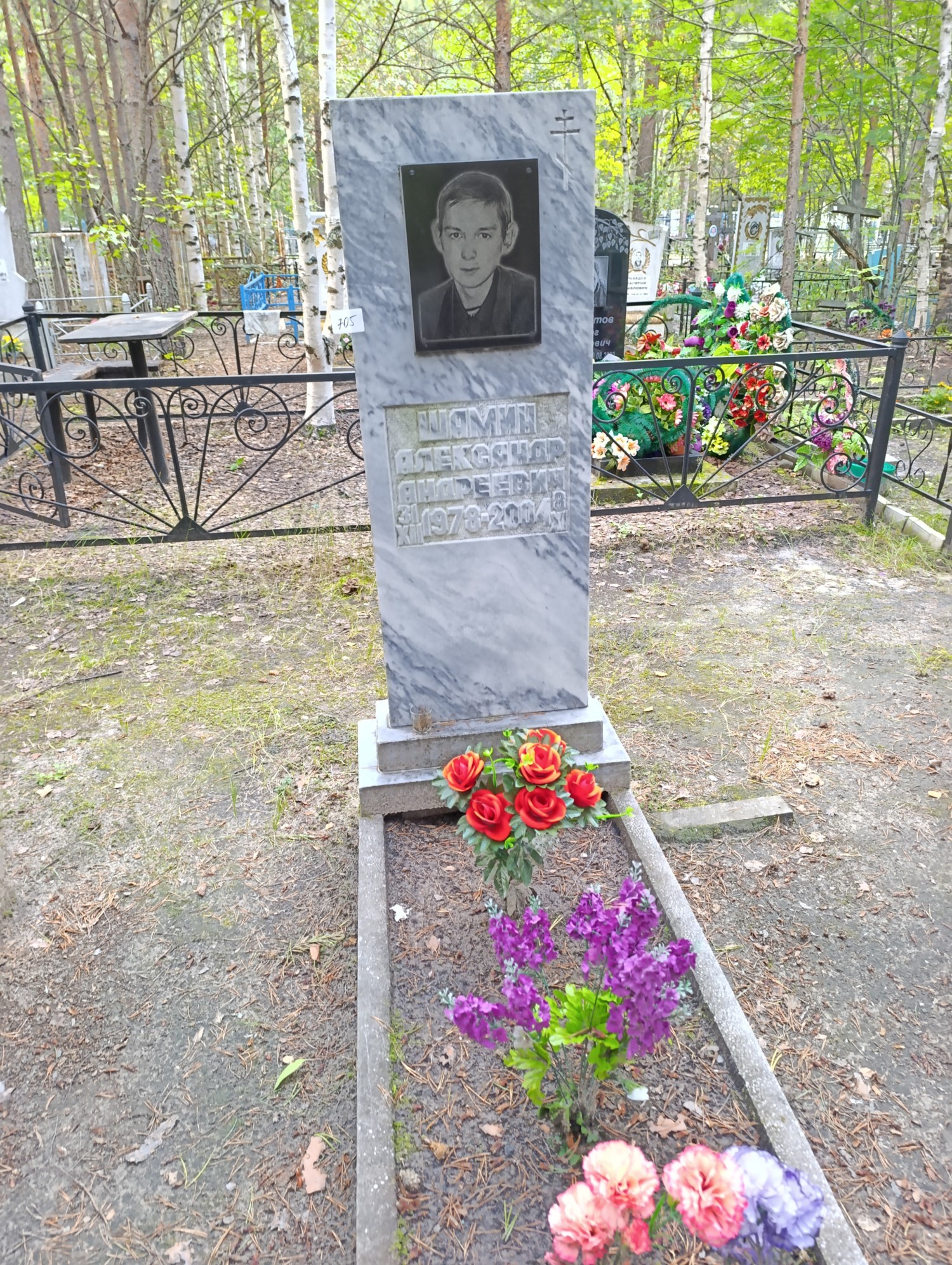 Шамин Александр Андреевич