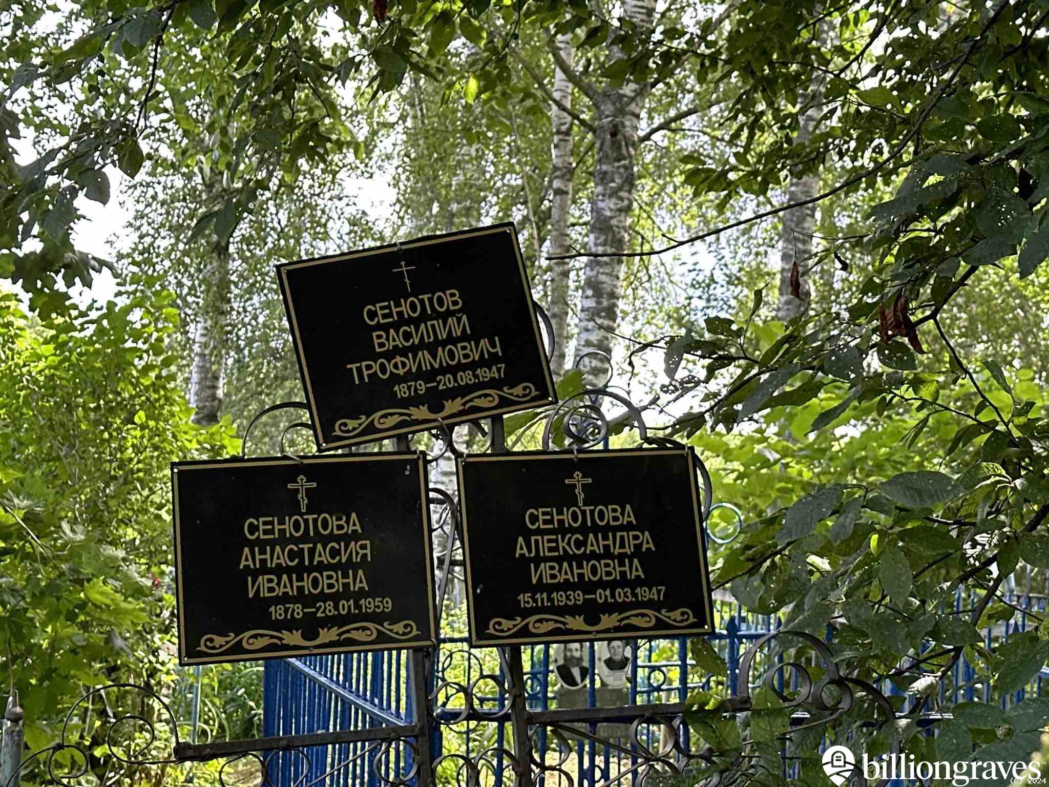 Сенотова Александра Ивановна