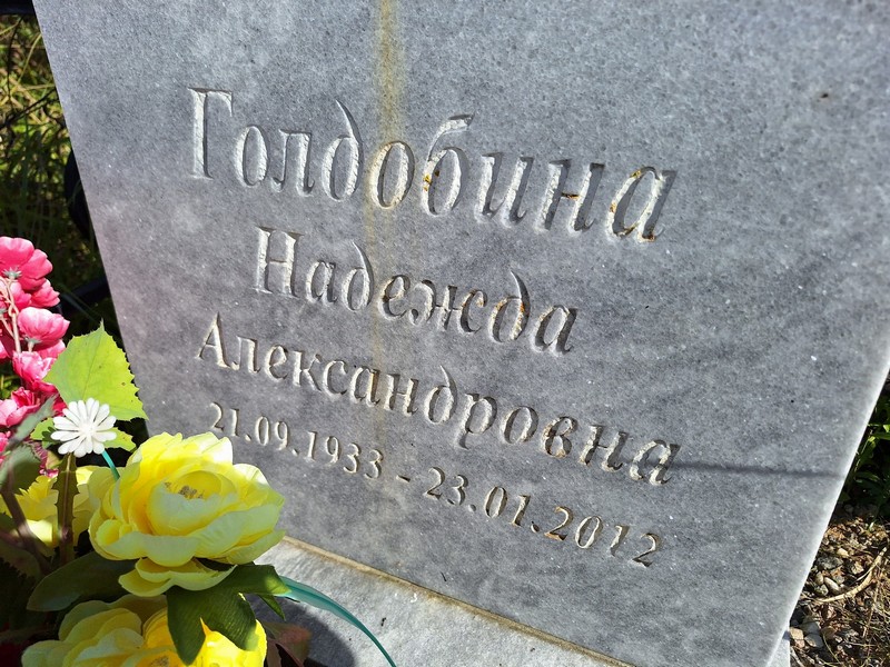 Голдобина
