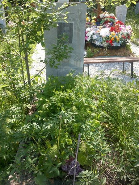 Шешина Нина Александровна