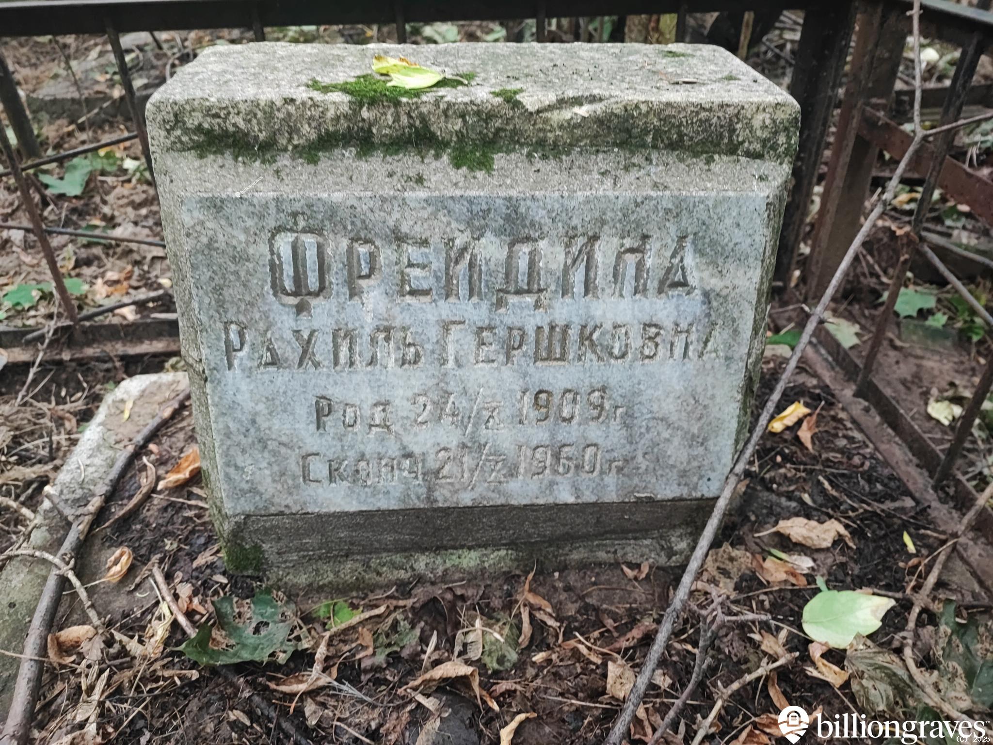 Фрейдина Рахиль Гершковна