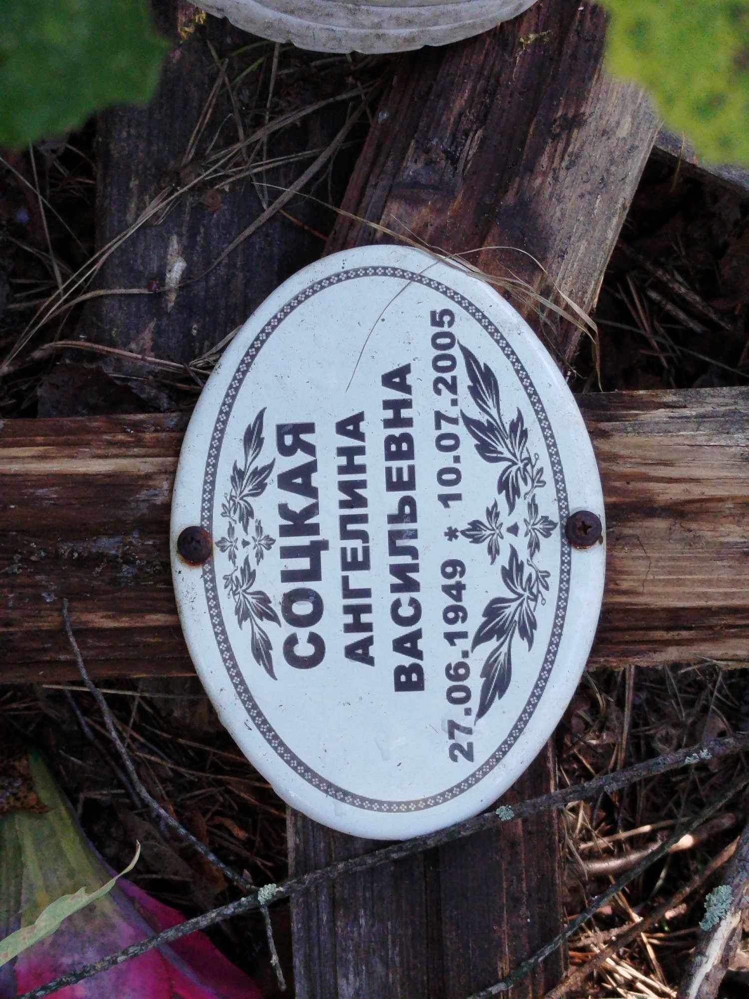 Соцкая Ангелина Васильевна