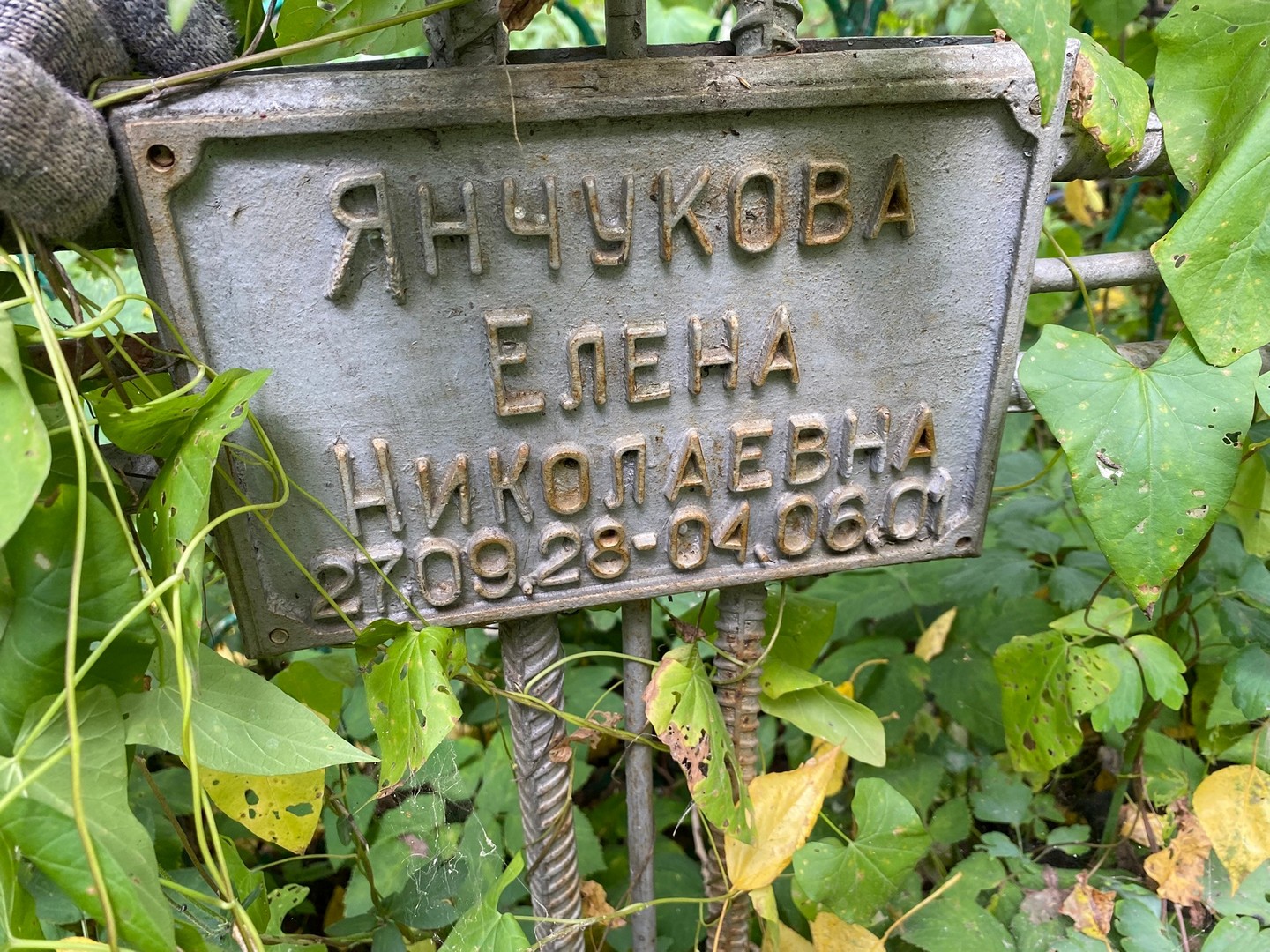 Янчукова