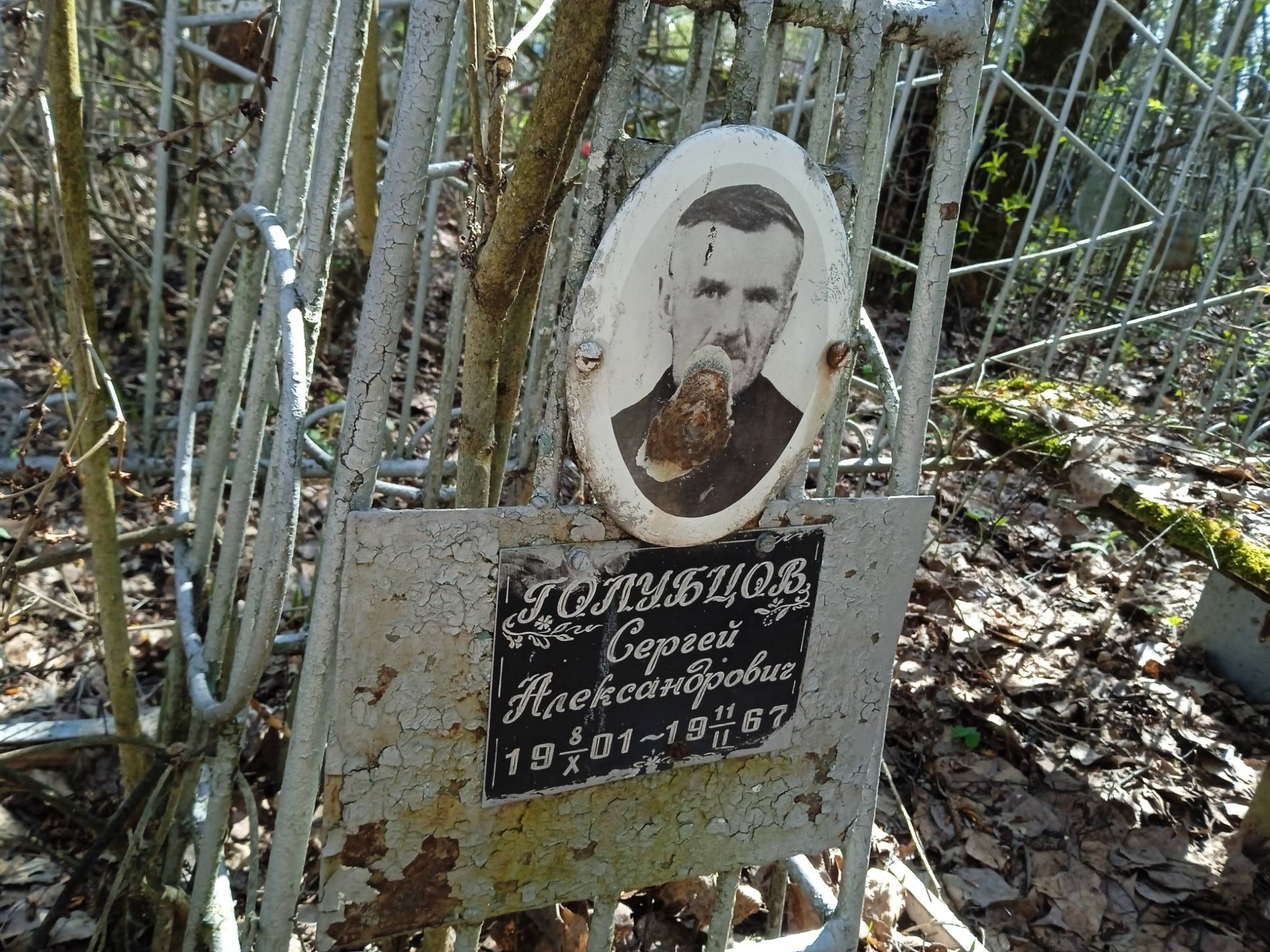 Голубцов Сергей Александрович