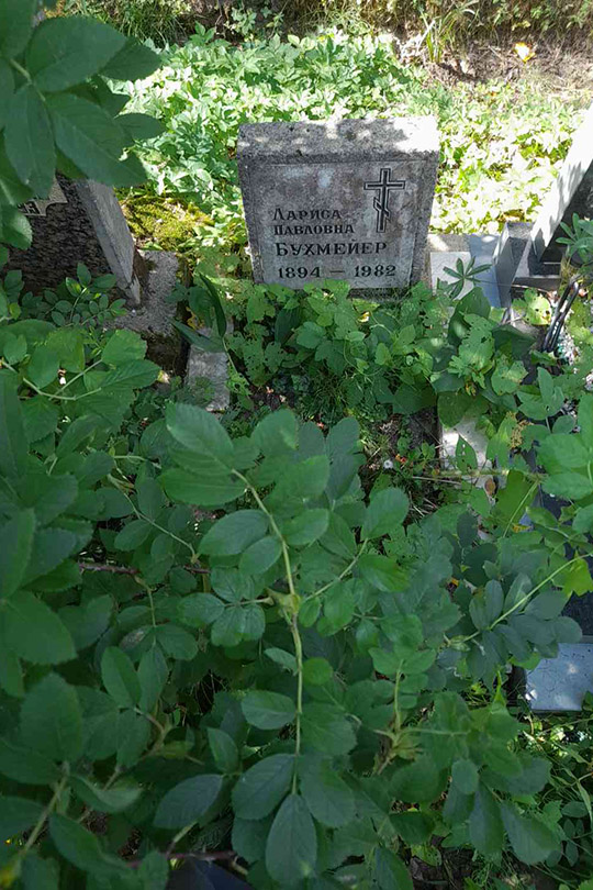 Бухмейер Лариса Павловна