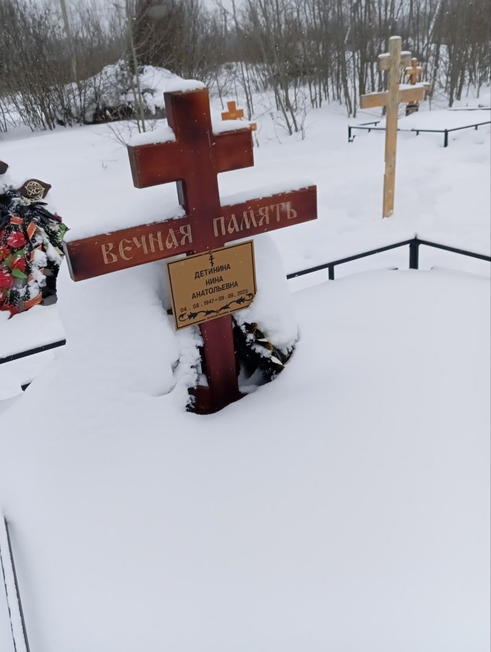 Детинина