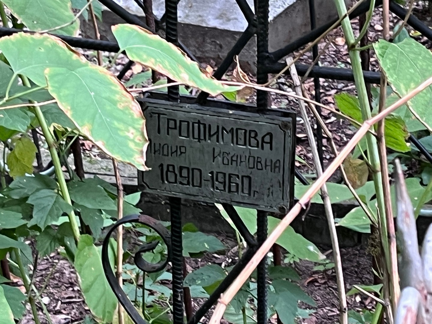 Трофимова
