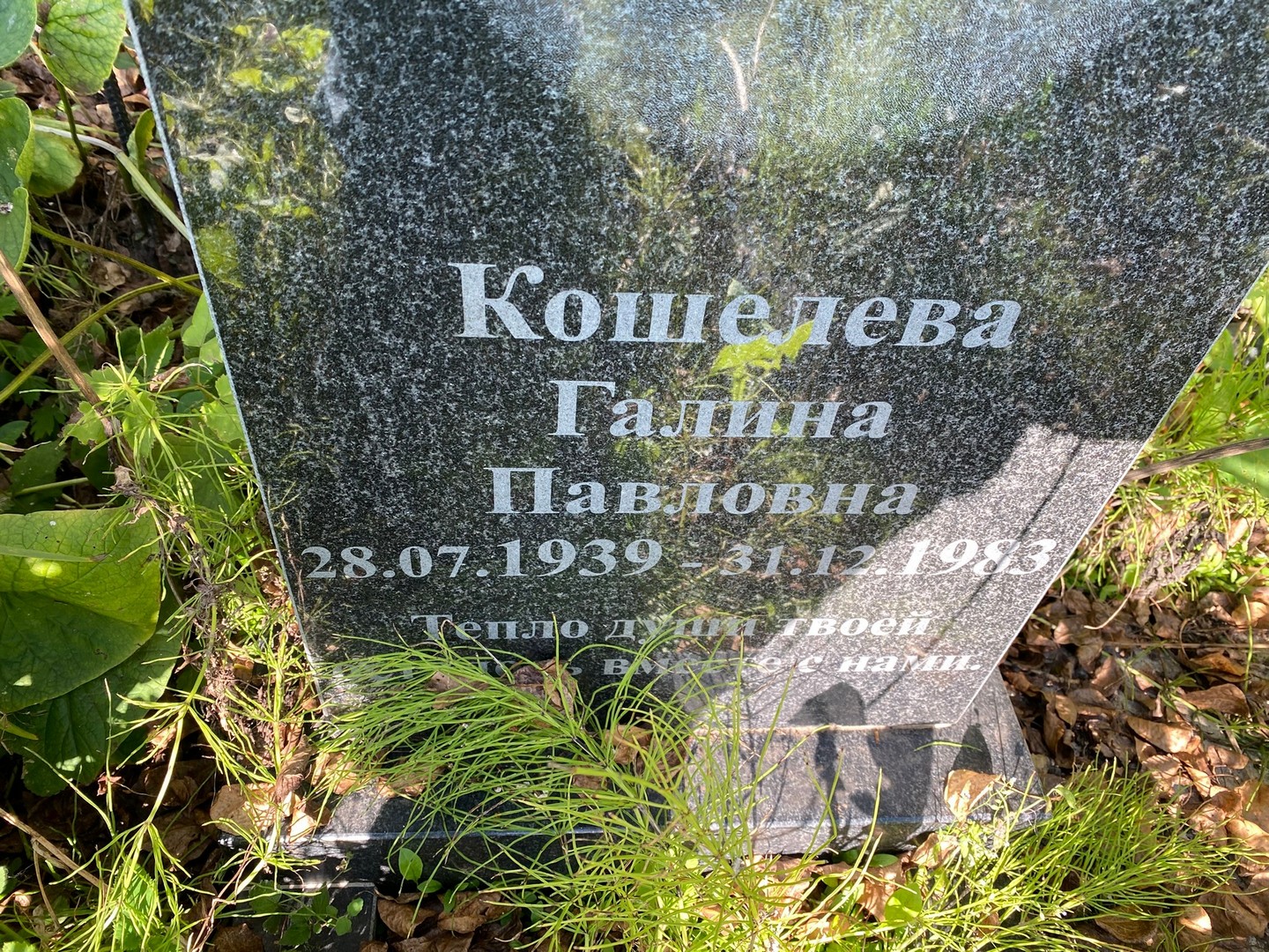 Кошелева