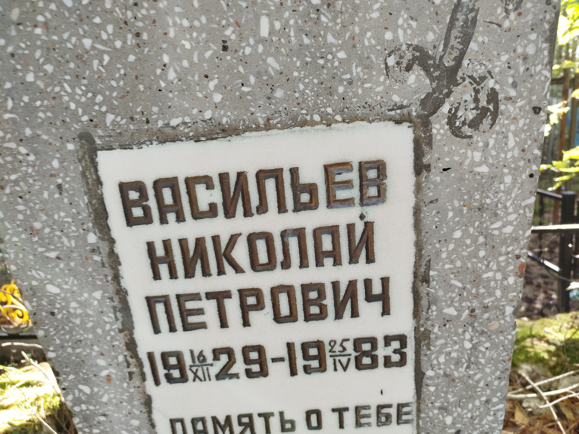 Васильев Николай Петрович