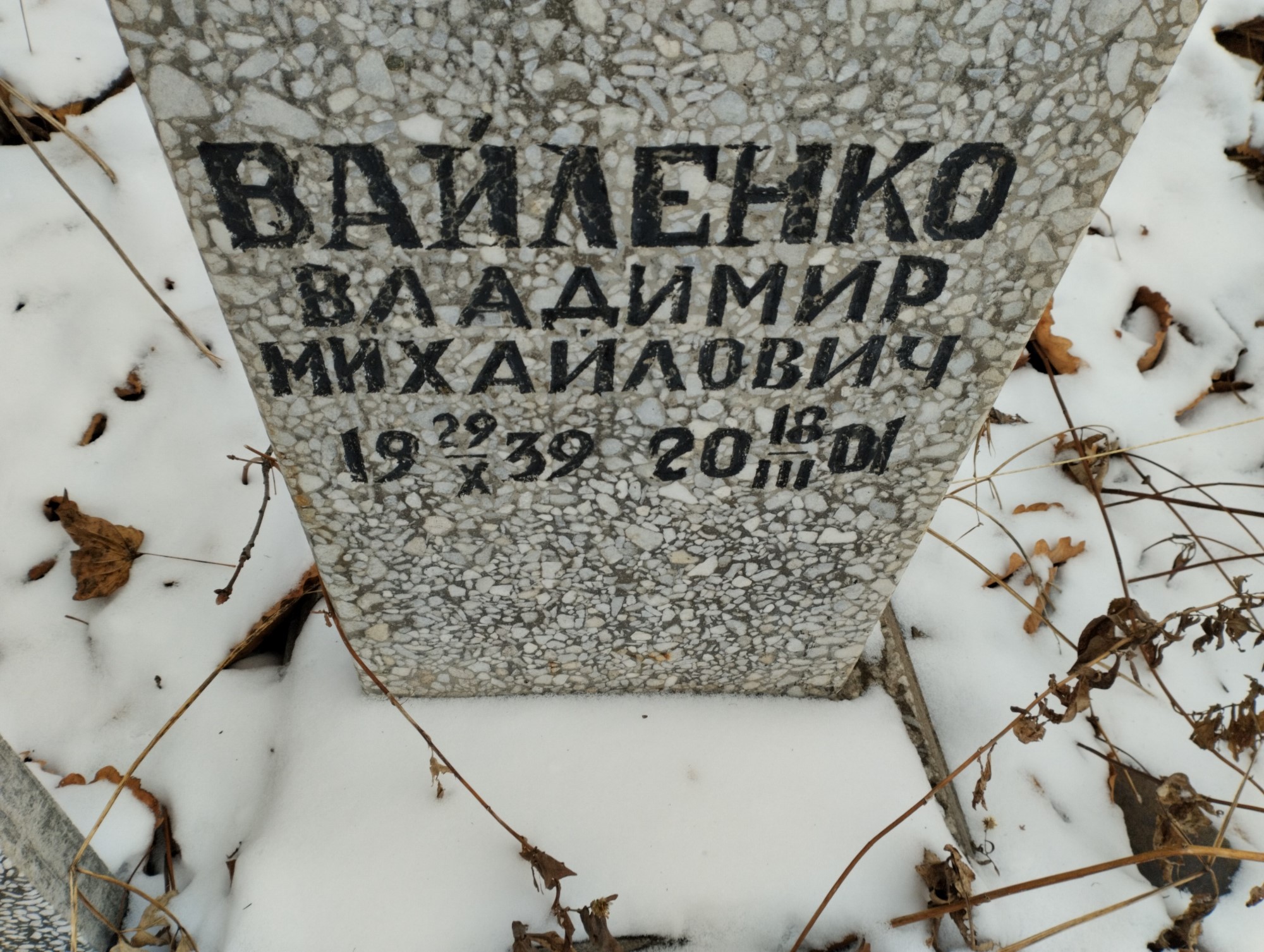 Вайленко Владимир Михайлович