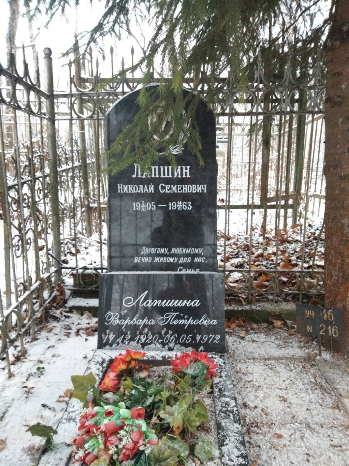Лапшин Николай Семенович
