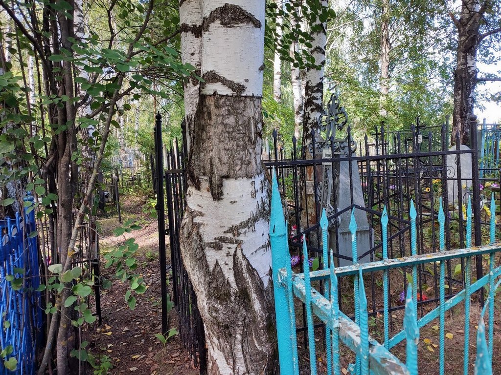 Шапкин Игорь Иванович