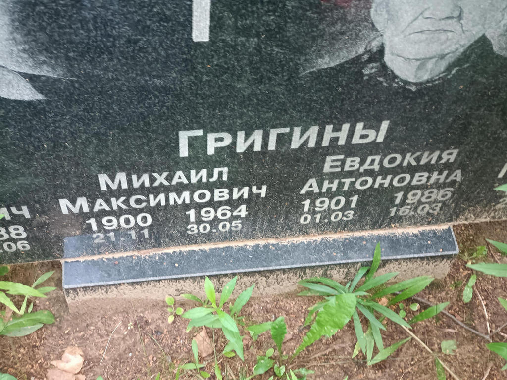 Григин Михаил Максимович