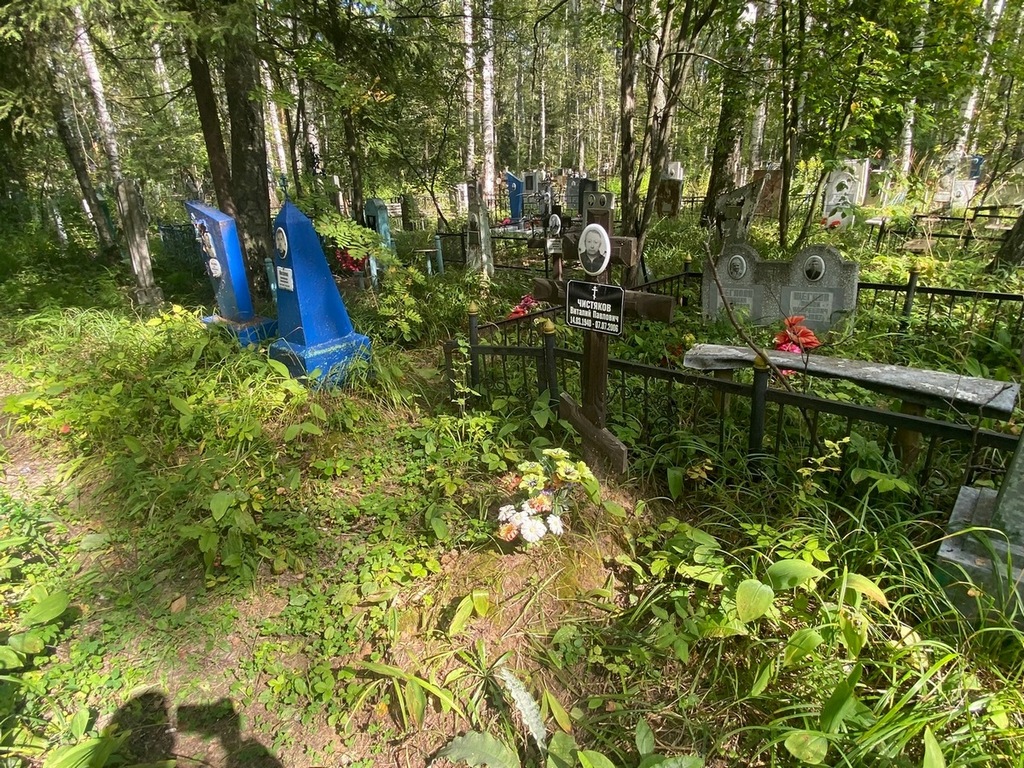 Чистяков Виталий Павлович