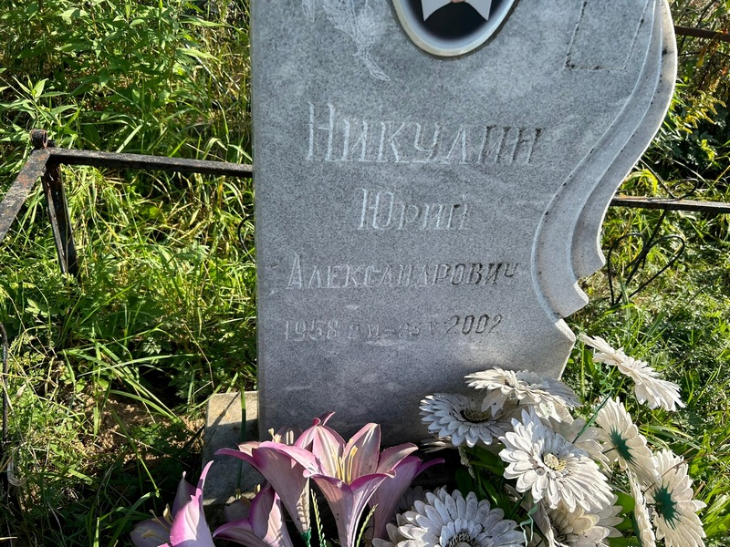 Никулин