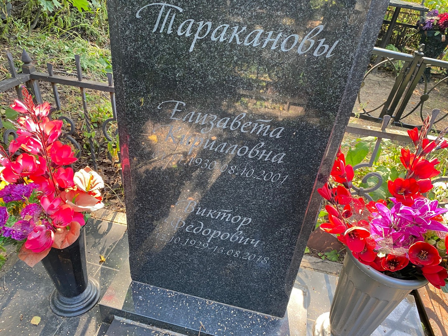 Тараканов