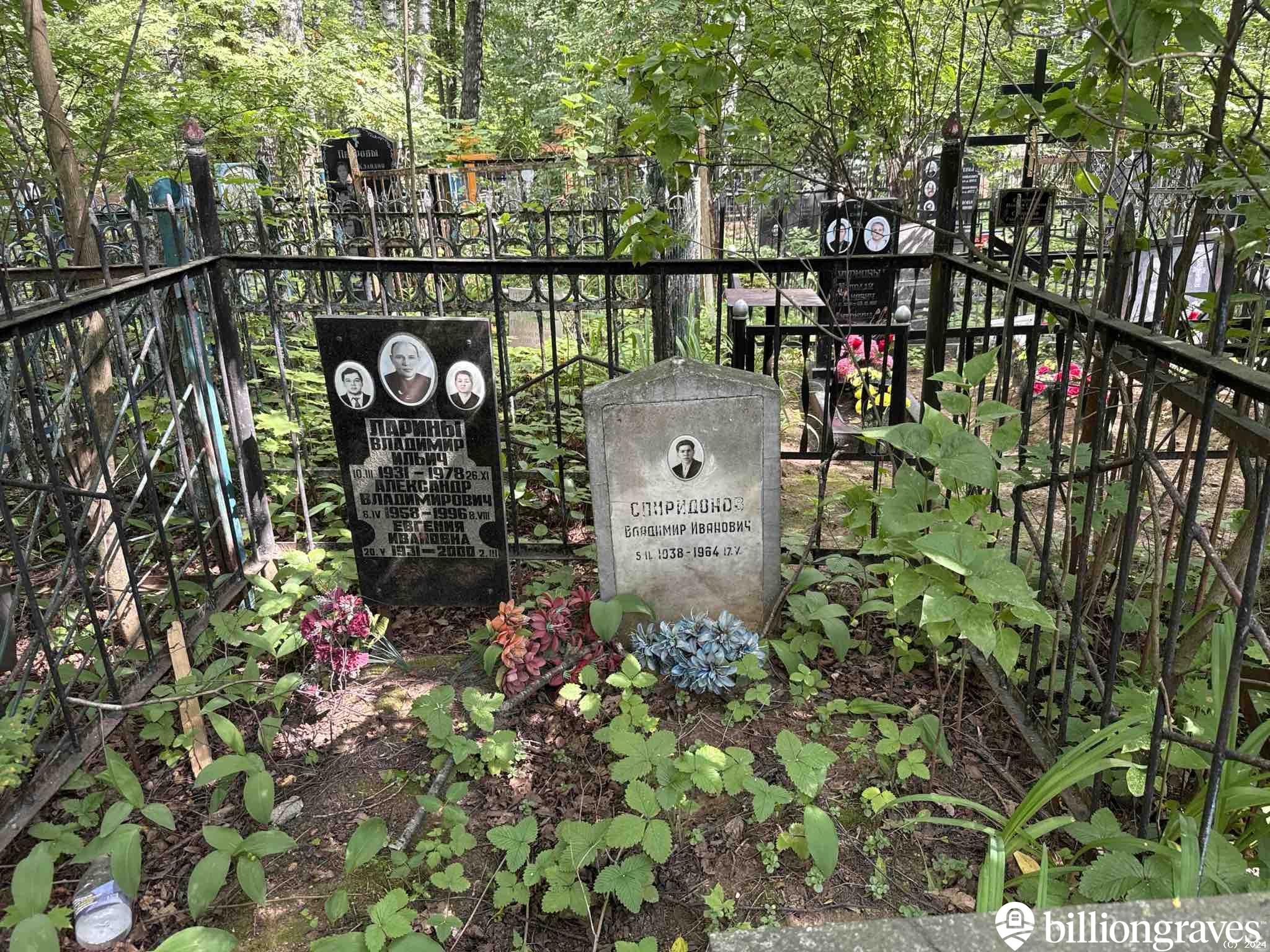 Ларина Евгения Ивановна