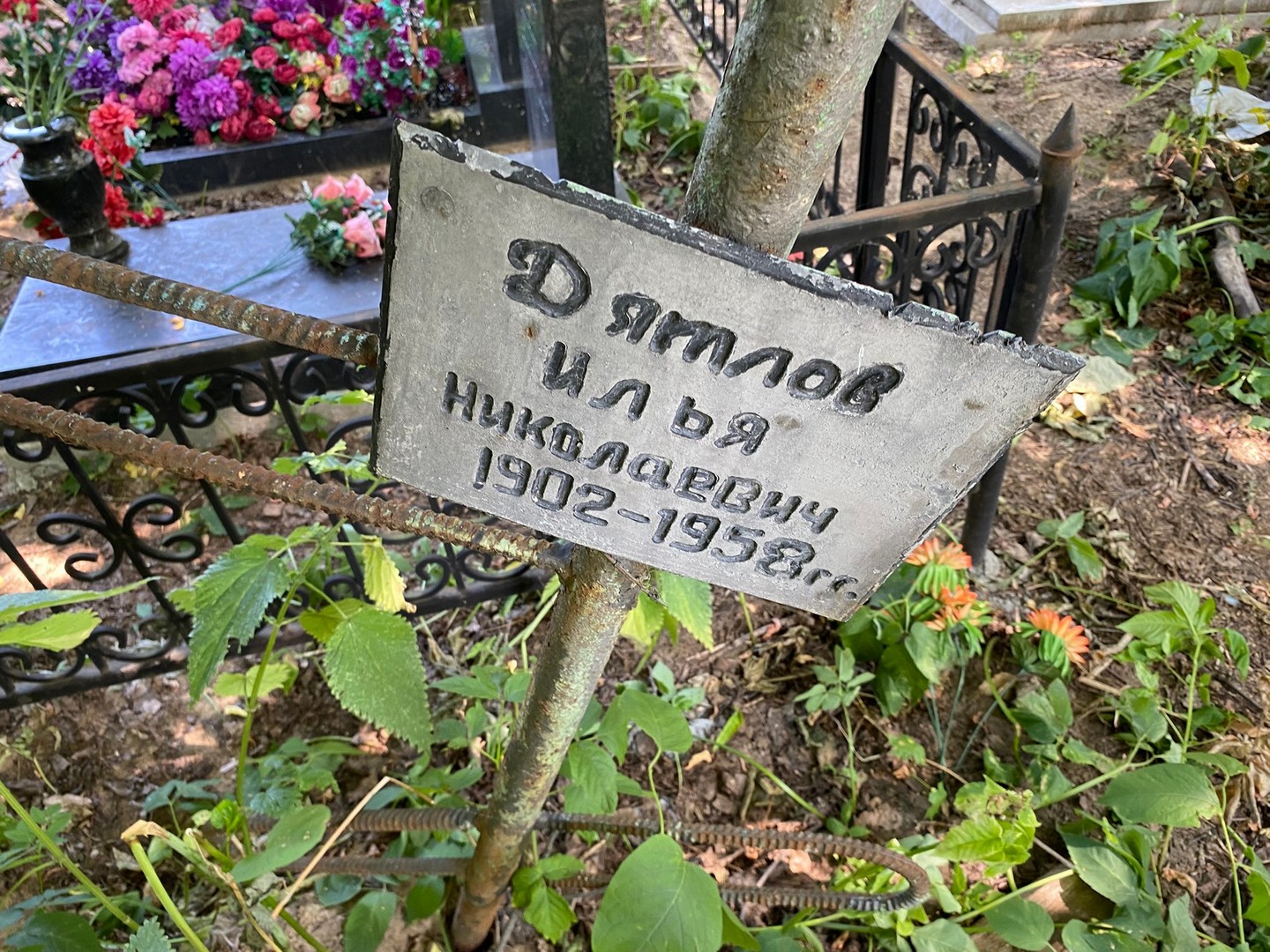 Дятлов