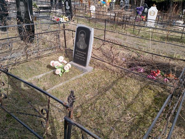 Островский Владимир Вениаминович