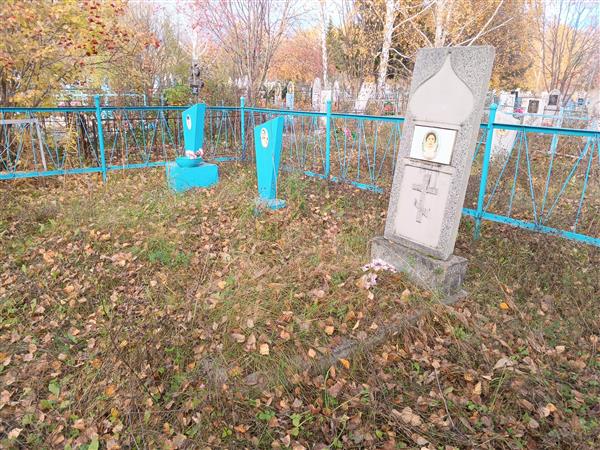 Шубкина Альбина Николаевна
