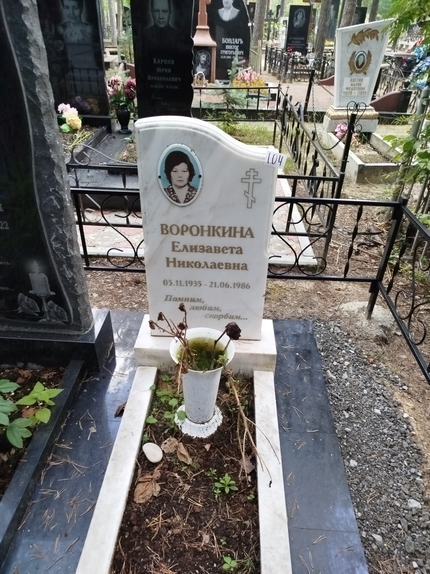 Воронкина Елизавета Николаевна