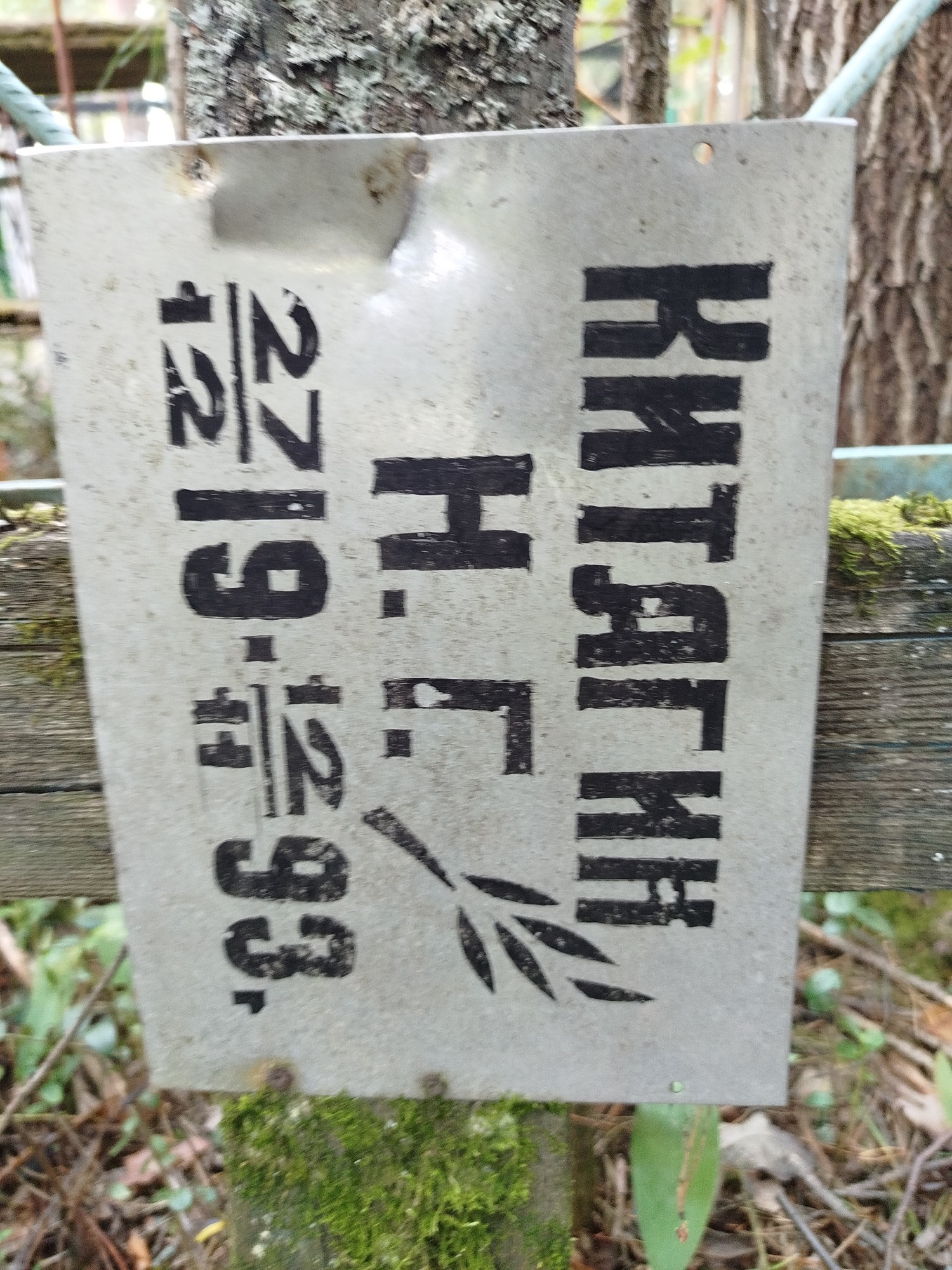 Китагин Н Г