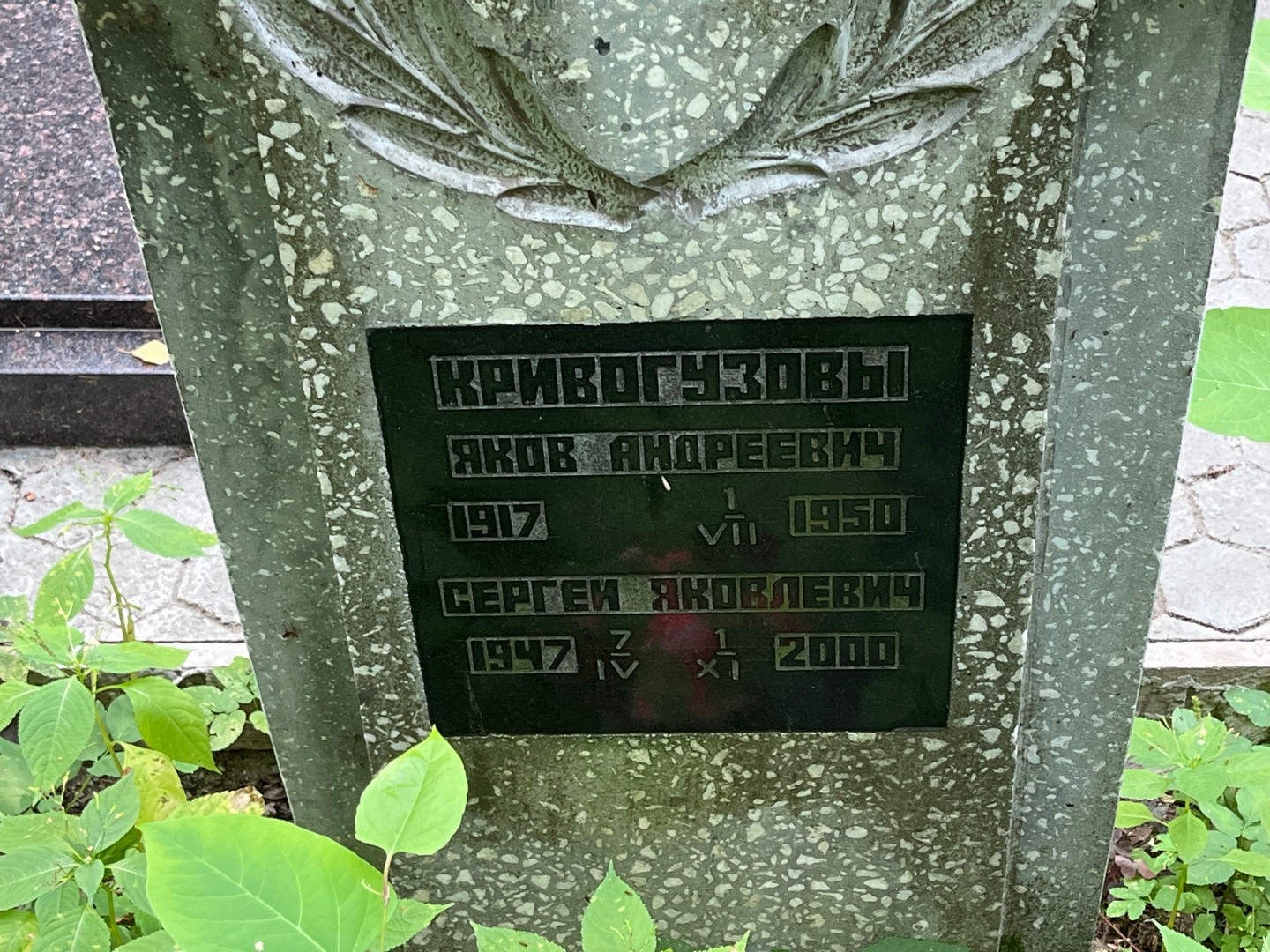 Кривогузов