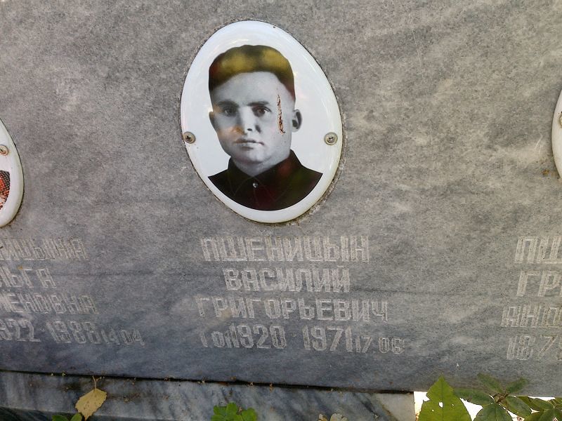 Пшеницын