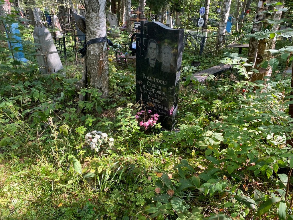 Романова Елена Владимировна