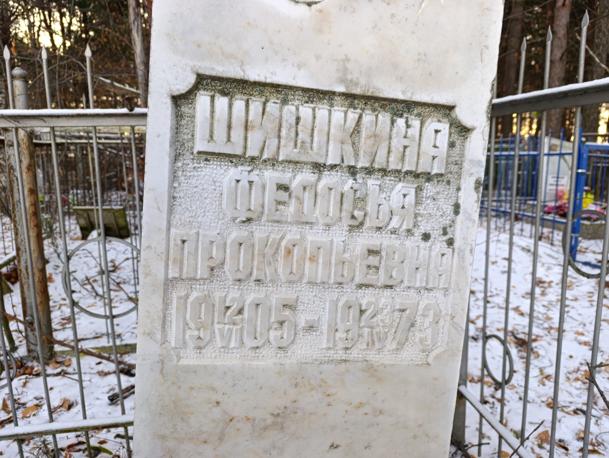 Шишкина Федосья Прокопьевна
