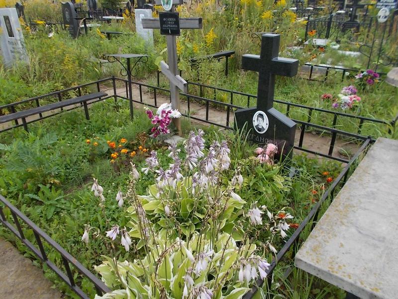 Фомина София Андреевна