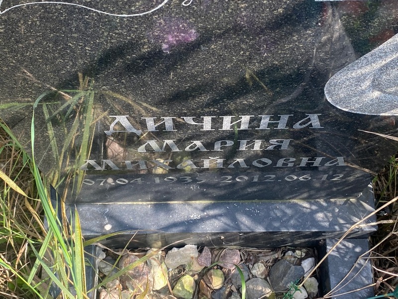 Дичина