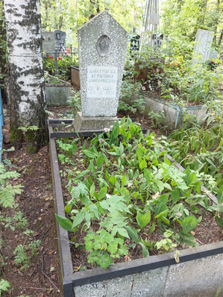 Дмитриева Агрипина Дмитриевна