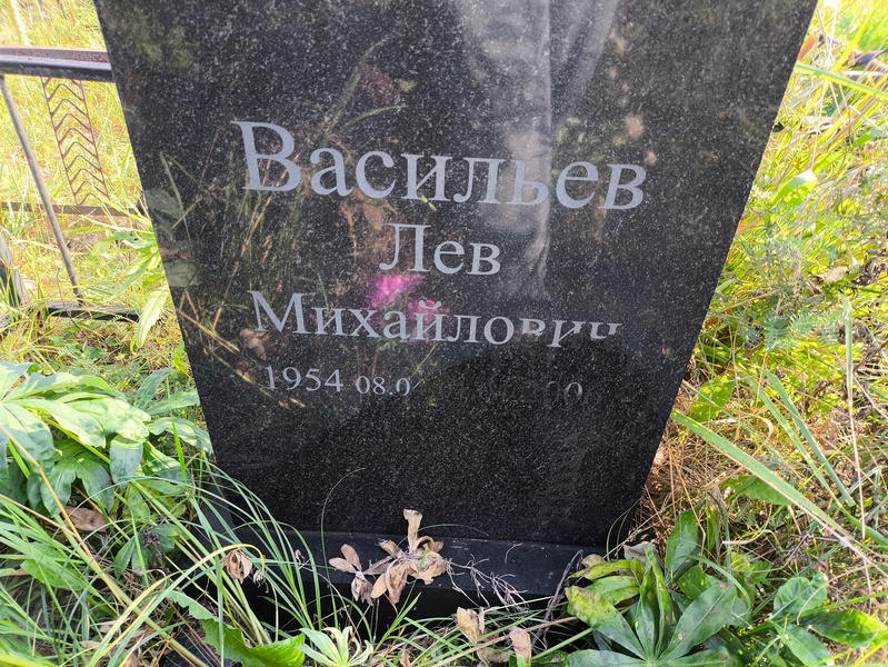 Лев Васильев Михайлович