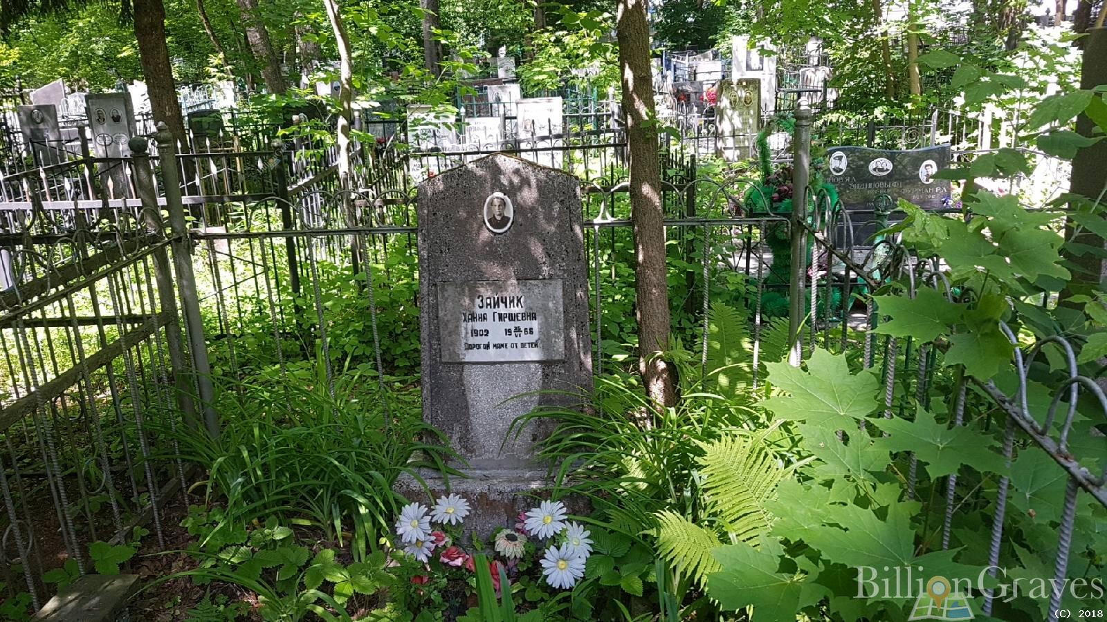зайчик ханна гиршевна