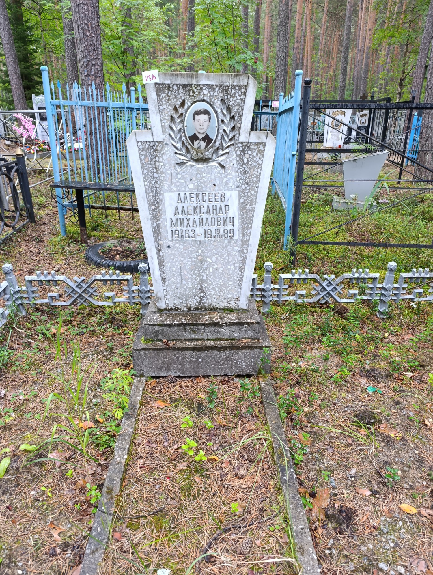 Алексеев Александр Михайлович